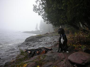 Black lab mix Ace sitting at the shore of Lake Superior