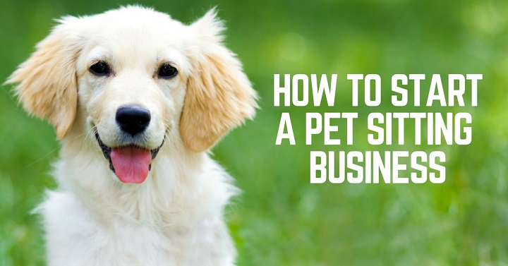 How to start a pet sitting business