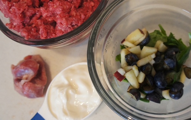 homemade raw dog food recipes