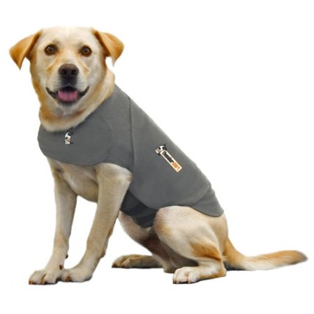 Thundershirt for dogs review - Does the Thundershirt for dogs really work?
