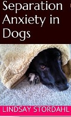 Dog separation anxiety books