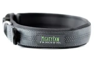 Mighty Paw padded dog collar