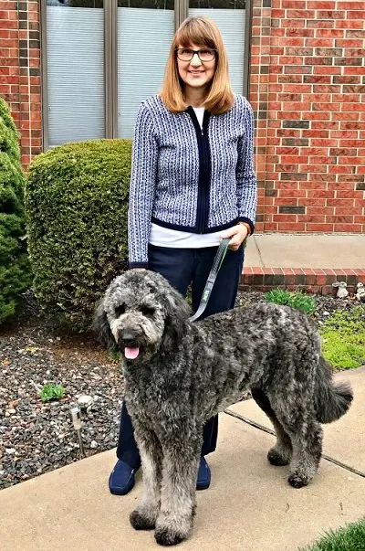 Using the Mighty Paw traffic leash