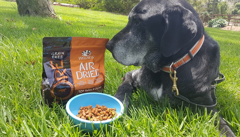 Wellness CORE Air Dried dog food review