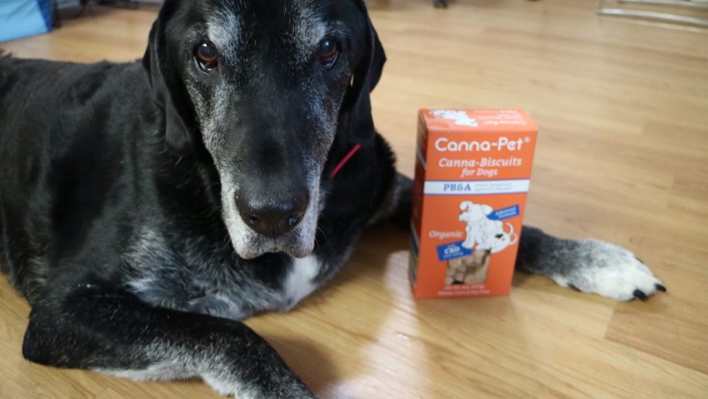 CBD dog treats - Canna Pet Review