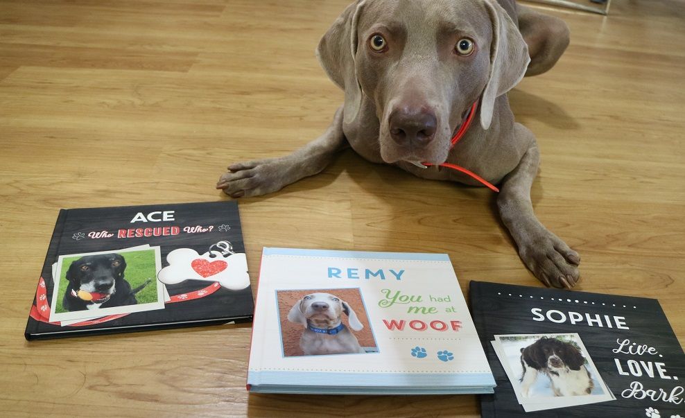 Personalized dog books