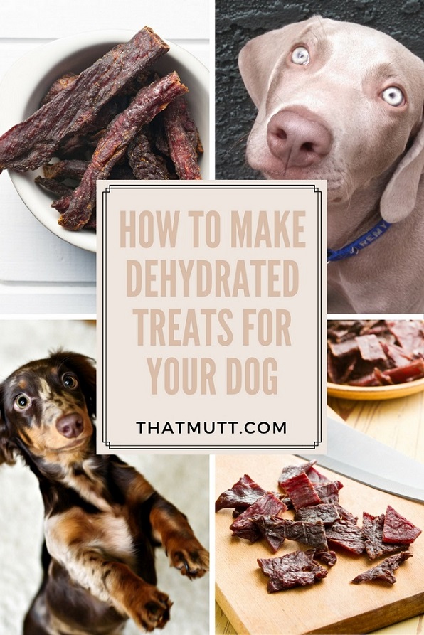 Dehydrated dog treat recipe
