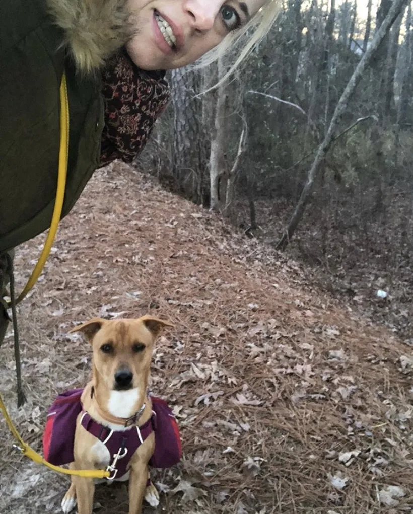 Dog backpack